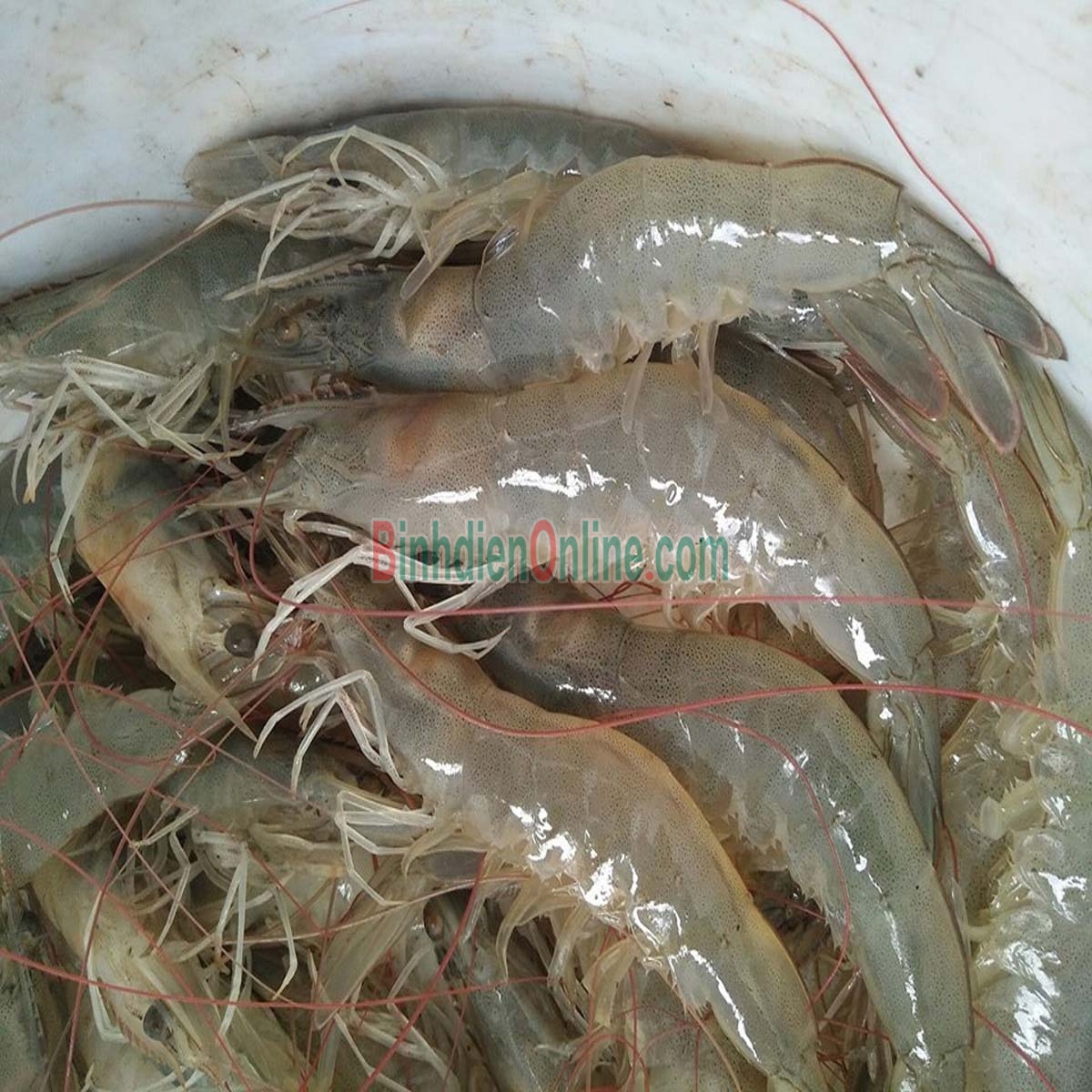 Tôm thẻ đông lạnh nguyên con 35-40 con/kg Xuất xứ Long An