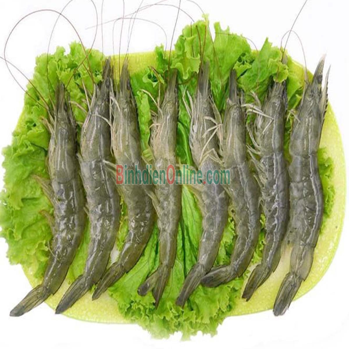 Tôm thẻ nguyên con tươi sống 40-50 con/kg Xuất xứ Tiền Giang