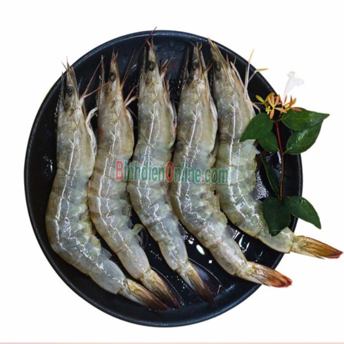 Tôm thẻ đông lạnh nguyên con giá tốt 15-20 con/kg Xuất xứ Bạc Liêu