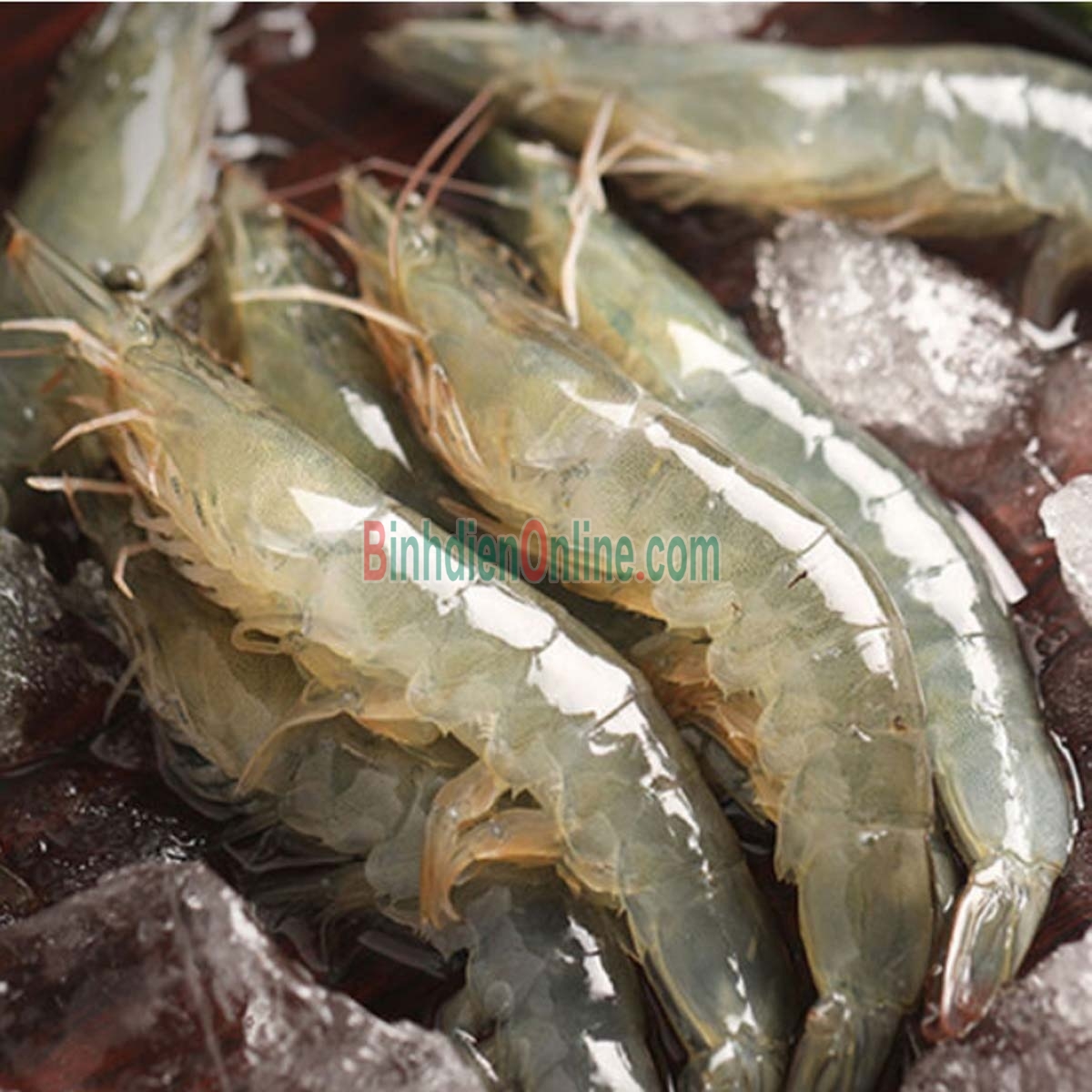Tôm thẻ nguyên con tươi sống loại 1 20-25 con/kg Xuất xứ Bến Tre