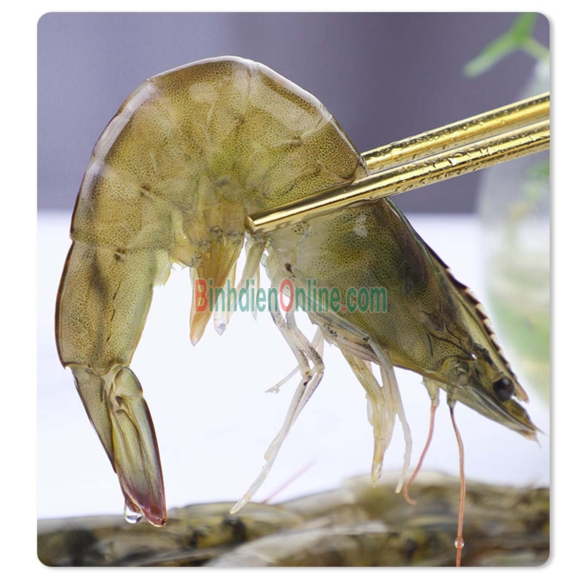 Tôm thẻ nguyên con tươi sống 35-40 con/kg Xuất xứ Tiền Giang