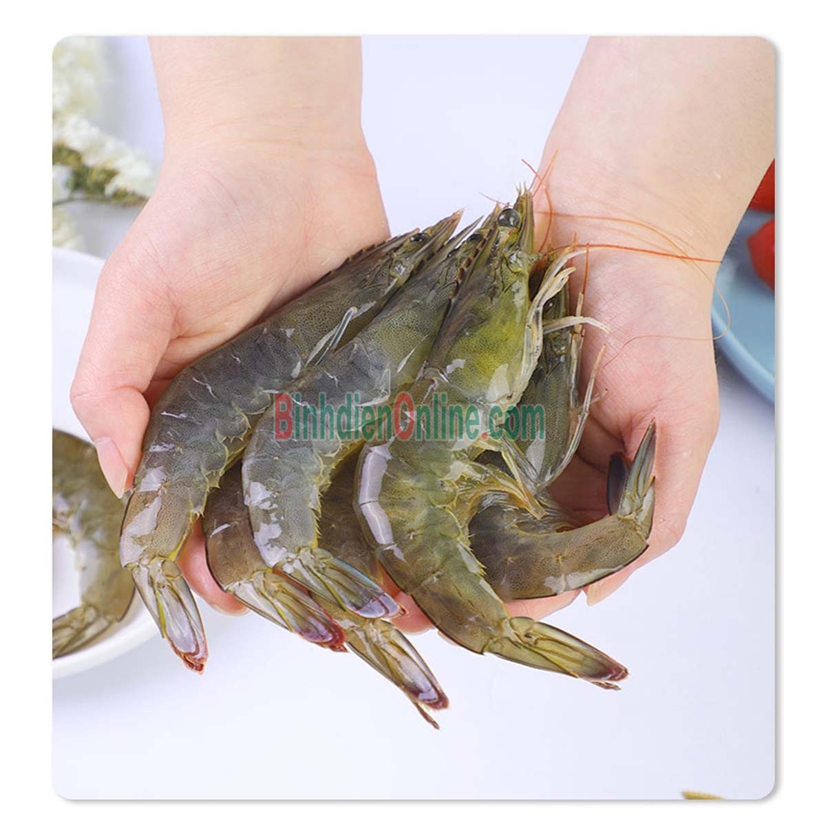 Tôm thẻ sống loại 1, nuôi an toàn 20-25 con/kg Xuất xứ Bạc Liêu