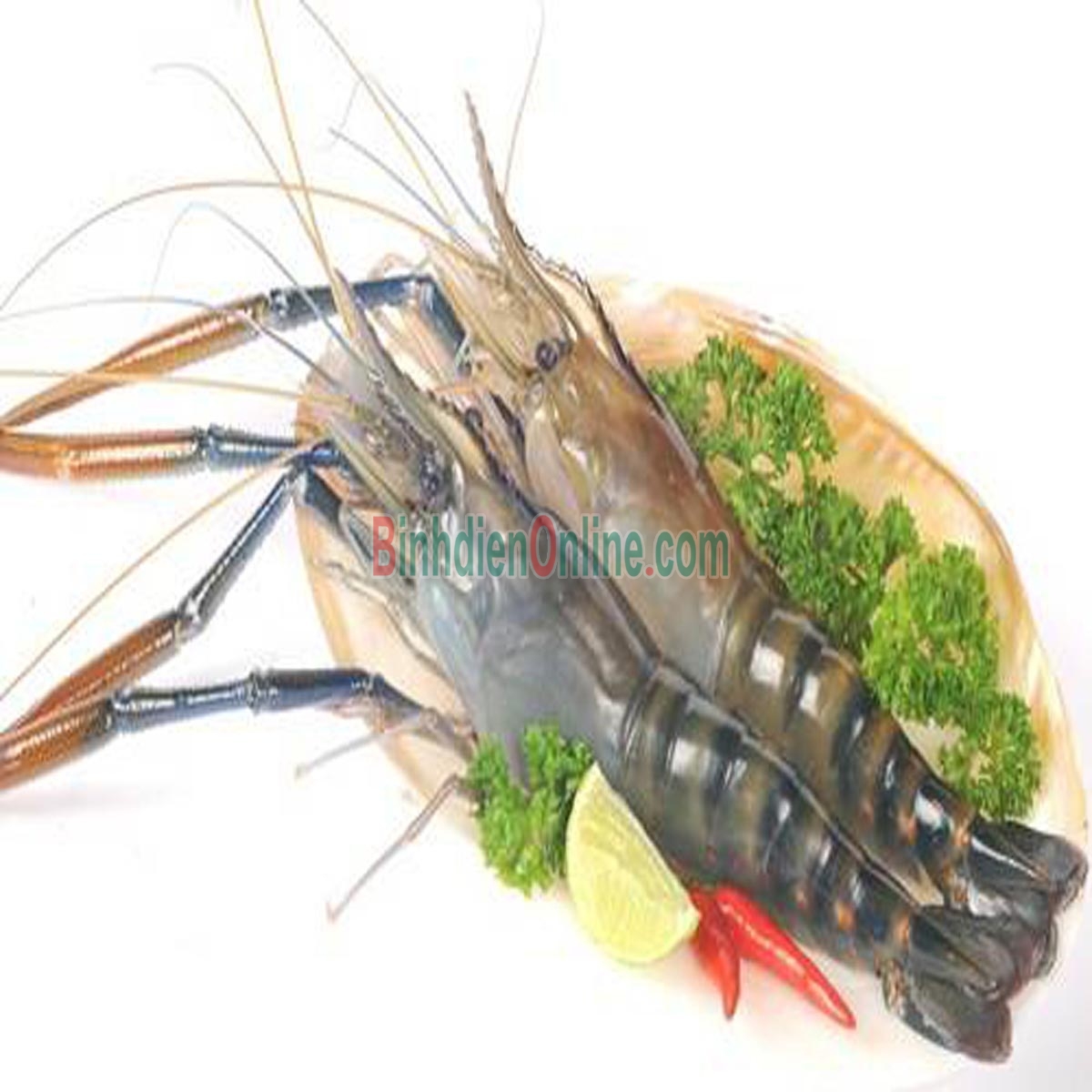 Tôm càng xanh sống  nuôi an toàn giá tốt 20-25 con/kg Xuất xứ Bến Tre