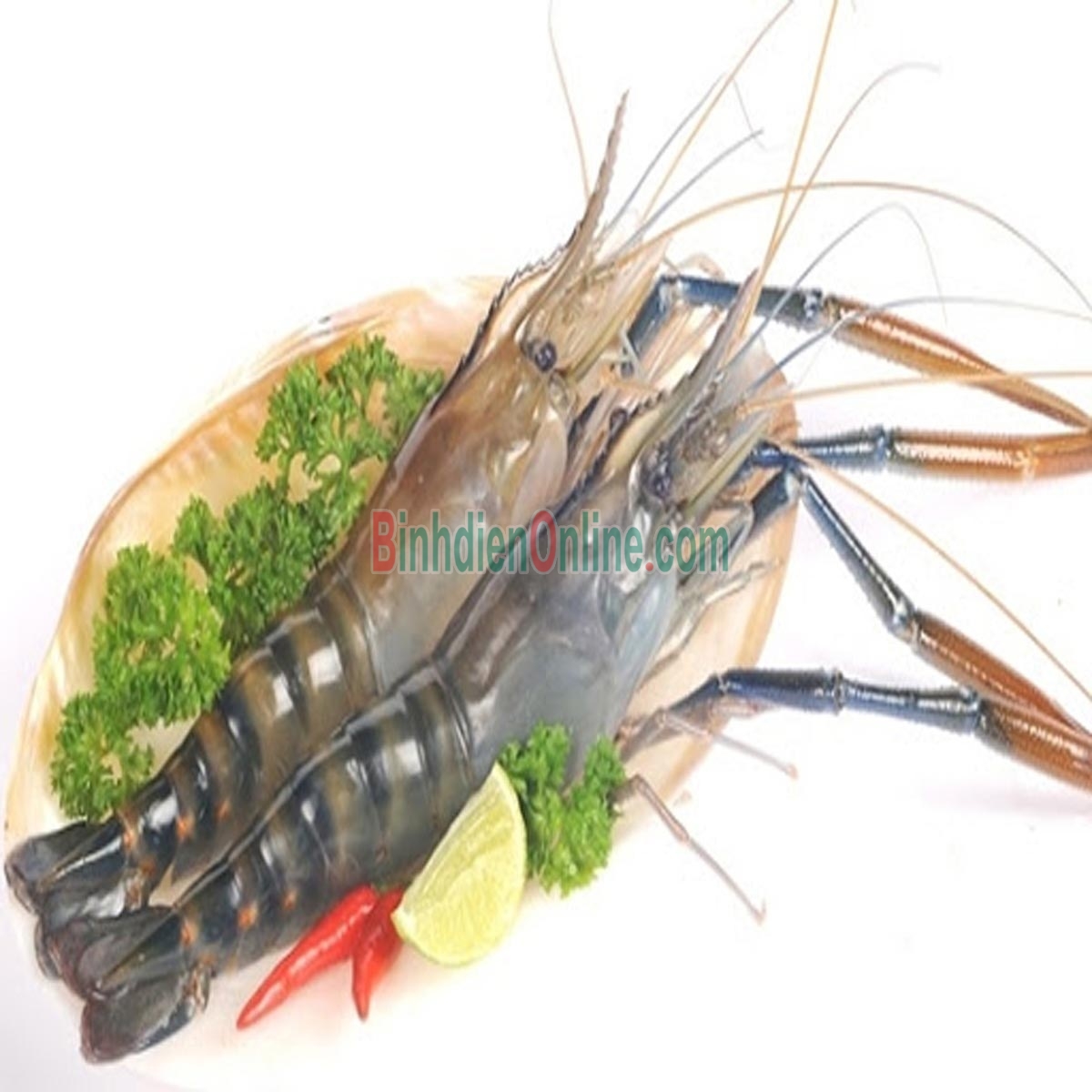 Tôm càng xanh tươi sống  loại 1, nuôi an toàn 10-15 con/kg Xuất xứ Tiền Giang