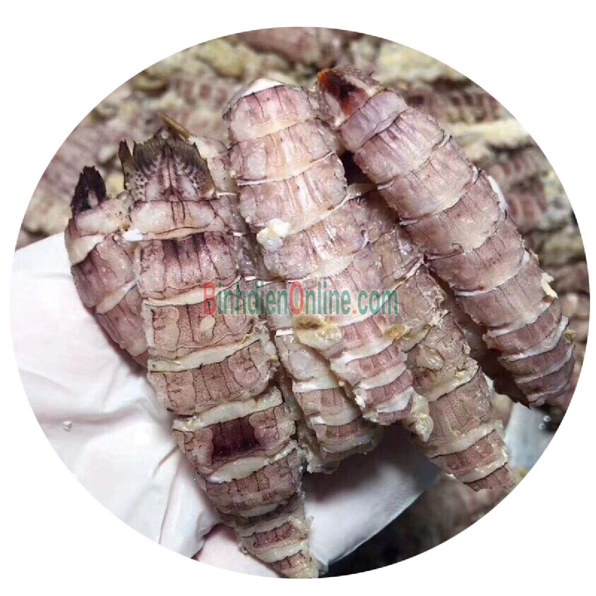 Tôm tít  tách vỏ đông lạnh, sản phẩm an toàn Trên 90 con/kg Xuất xứ Vũng Tàu