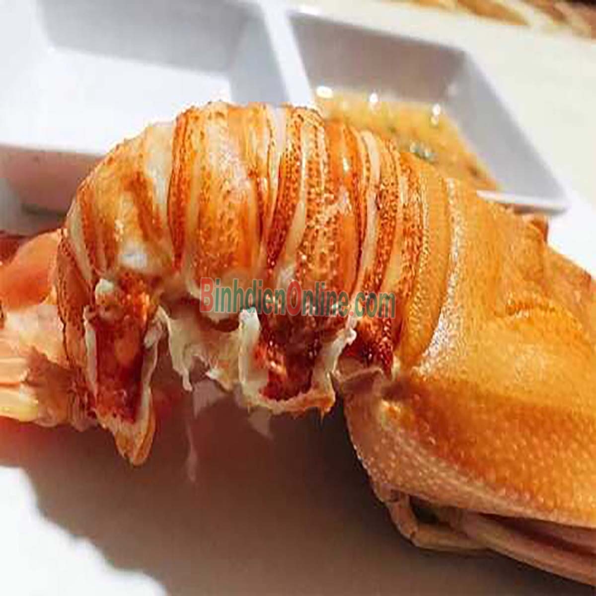 Tôm mũ ni đỏ  sống 4-6 con/kg Xuất xứ Ninh Thuận