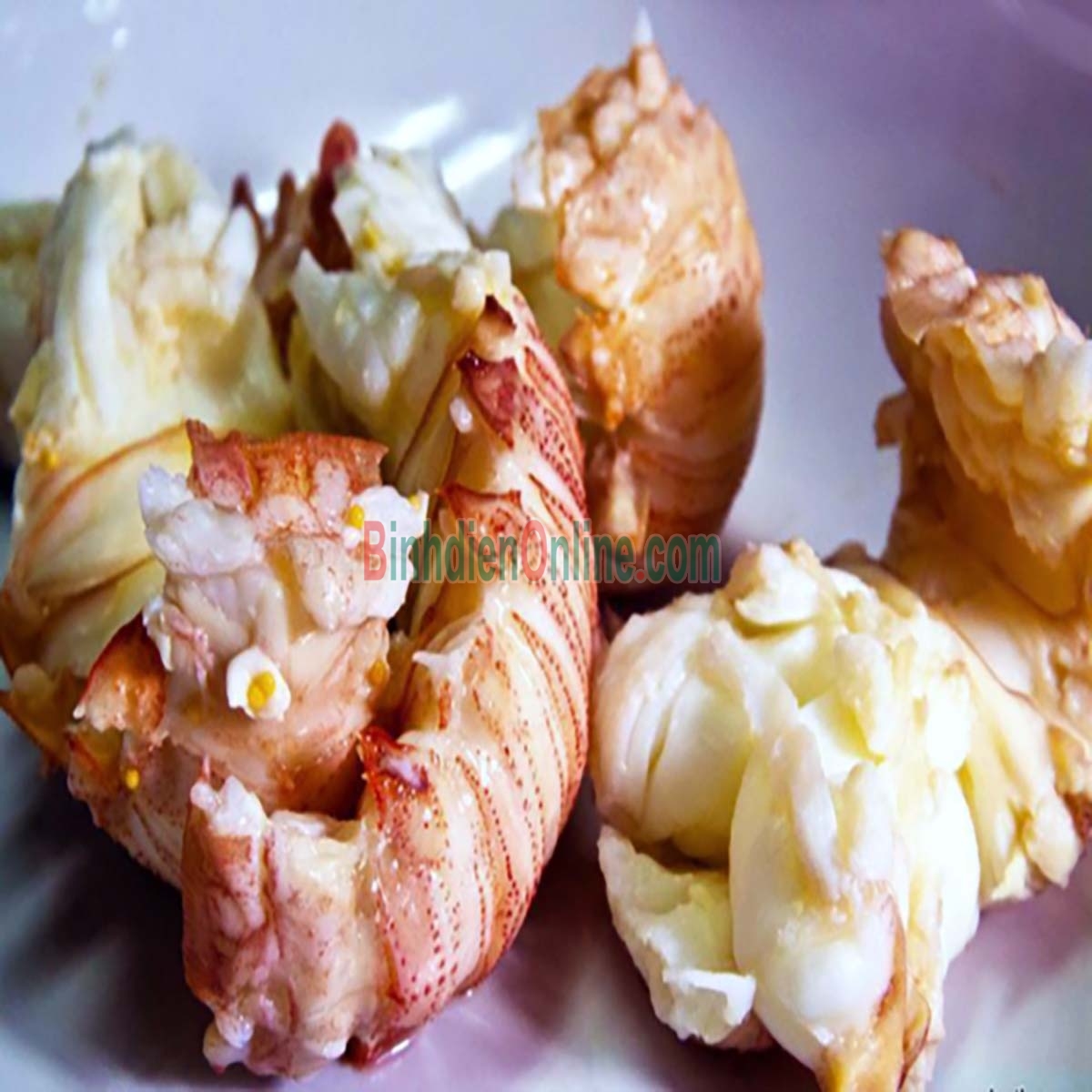 Tôm mũ ni đỏ  sống giá tốt 2-3 con/kg Xuất xứ Bình Thuận