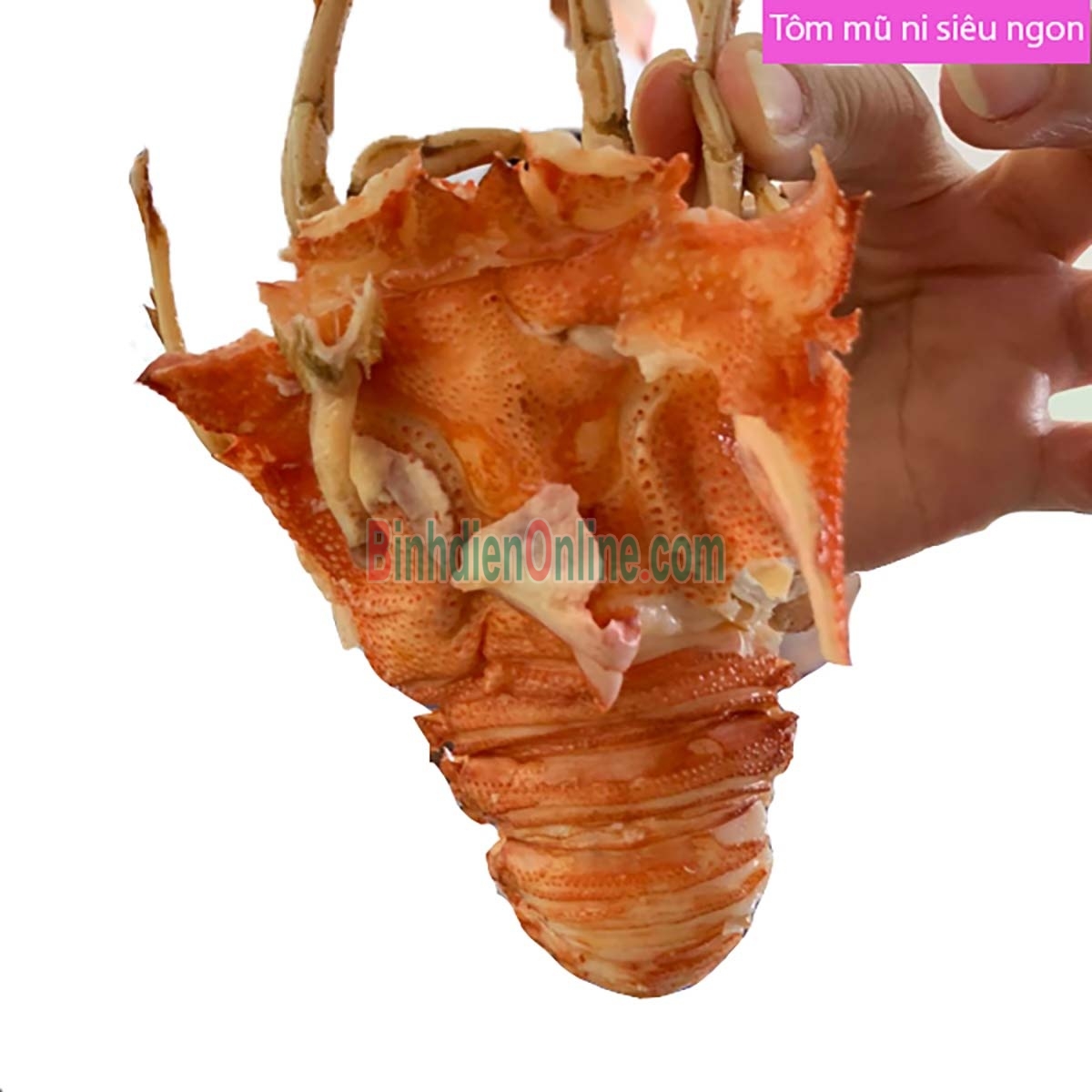 Tôm mũ ni đỏ  tươi sống 3-4 con/kg Xuất xứ Kiên Giang