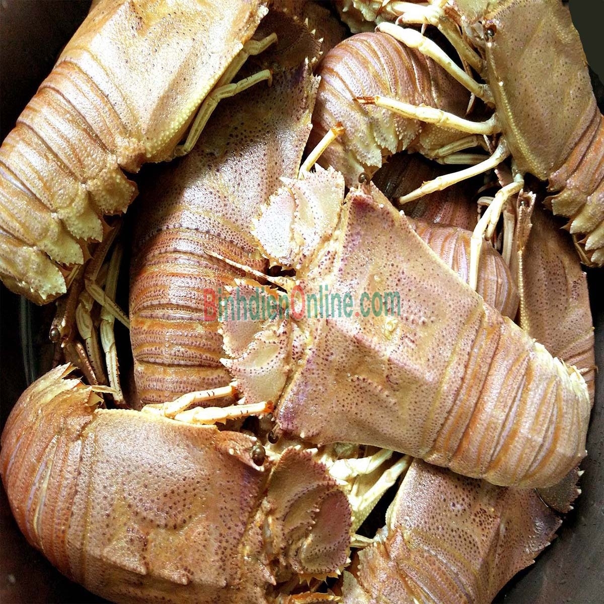 Tôm mũ ni trắng  đông lạnh loại 1 3-4 con/kg Xuất xứ Kiên Giang