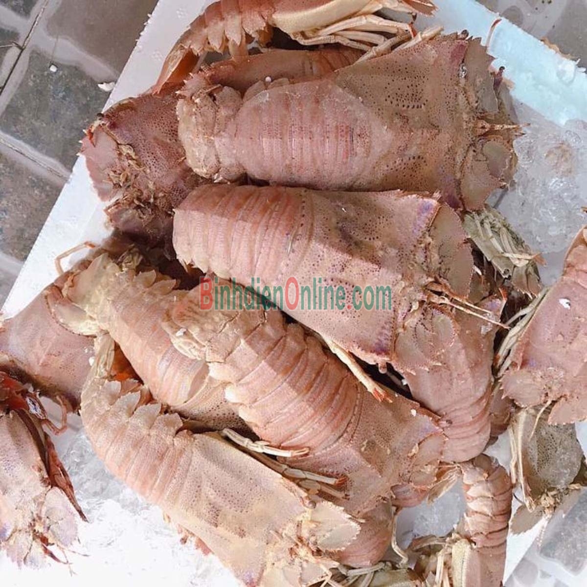 Tôm mũ ni trắng  đông lạnh 6-7 con/kg Xuất xứ Ninh Thuận