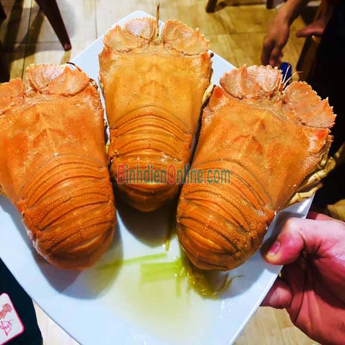 Tôm mũ ni trắng  sống 4-6 con/kg Xuất xứ Khánh Hòa