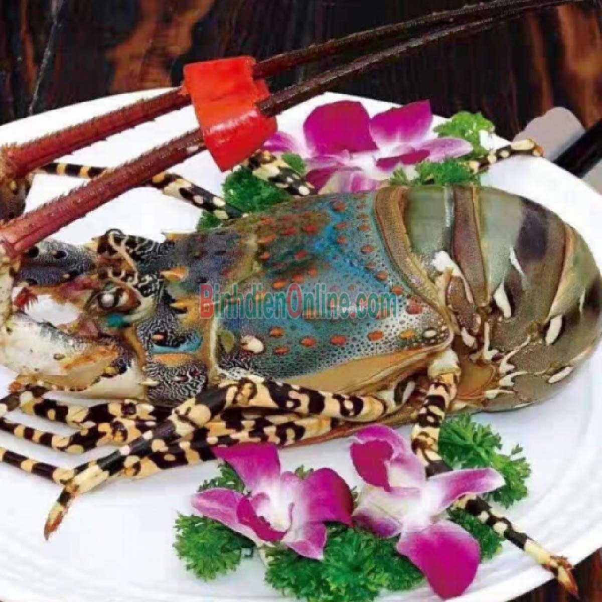 Tôm hùm bông  đông lạnh 1,2-1,4 kg/con Xuất xứ Khánh Hòa