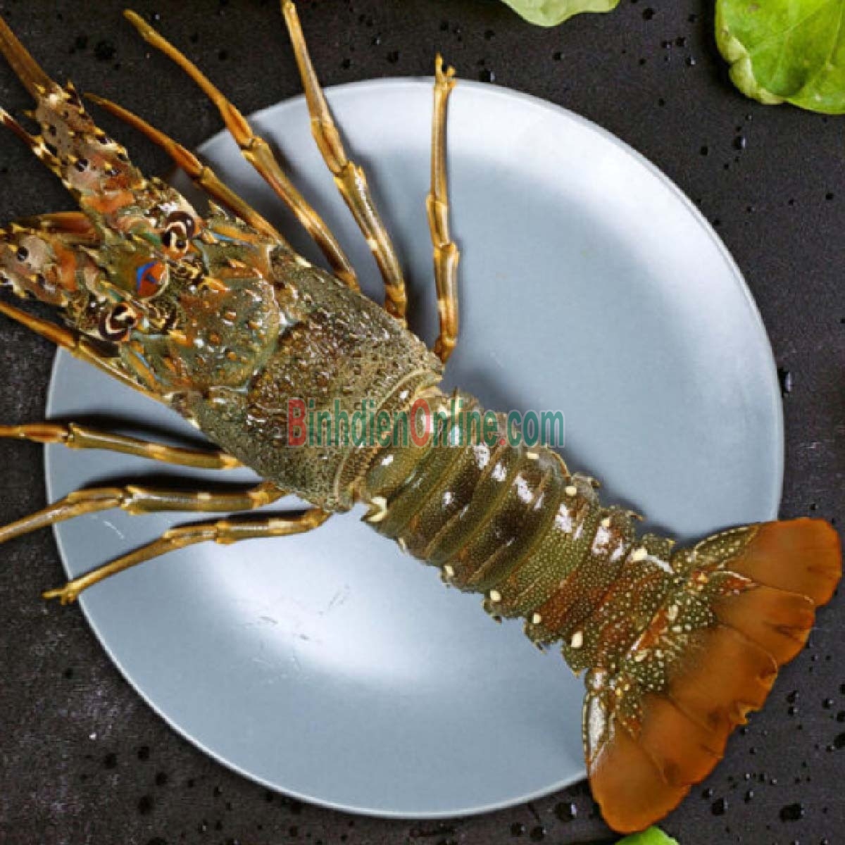 Tôm hùm xanh đông lạnh giá tốt 300-500 gr/con Xuất xứ Ninh Thuận