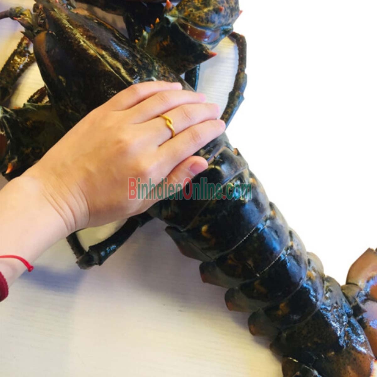 Tôm hùm nhập khẩu đông lạnh mới nhập về 1,5-2 kg/con Xuất xứ Canada