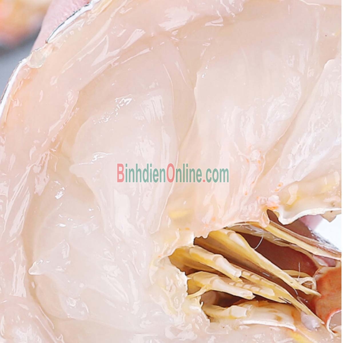 Tôm hùm nhập khẩu sống loại 1 3-3,5 kg/con Xuất xứ Canada