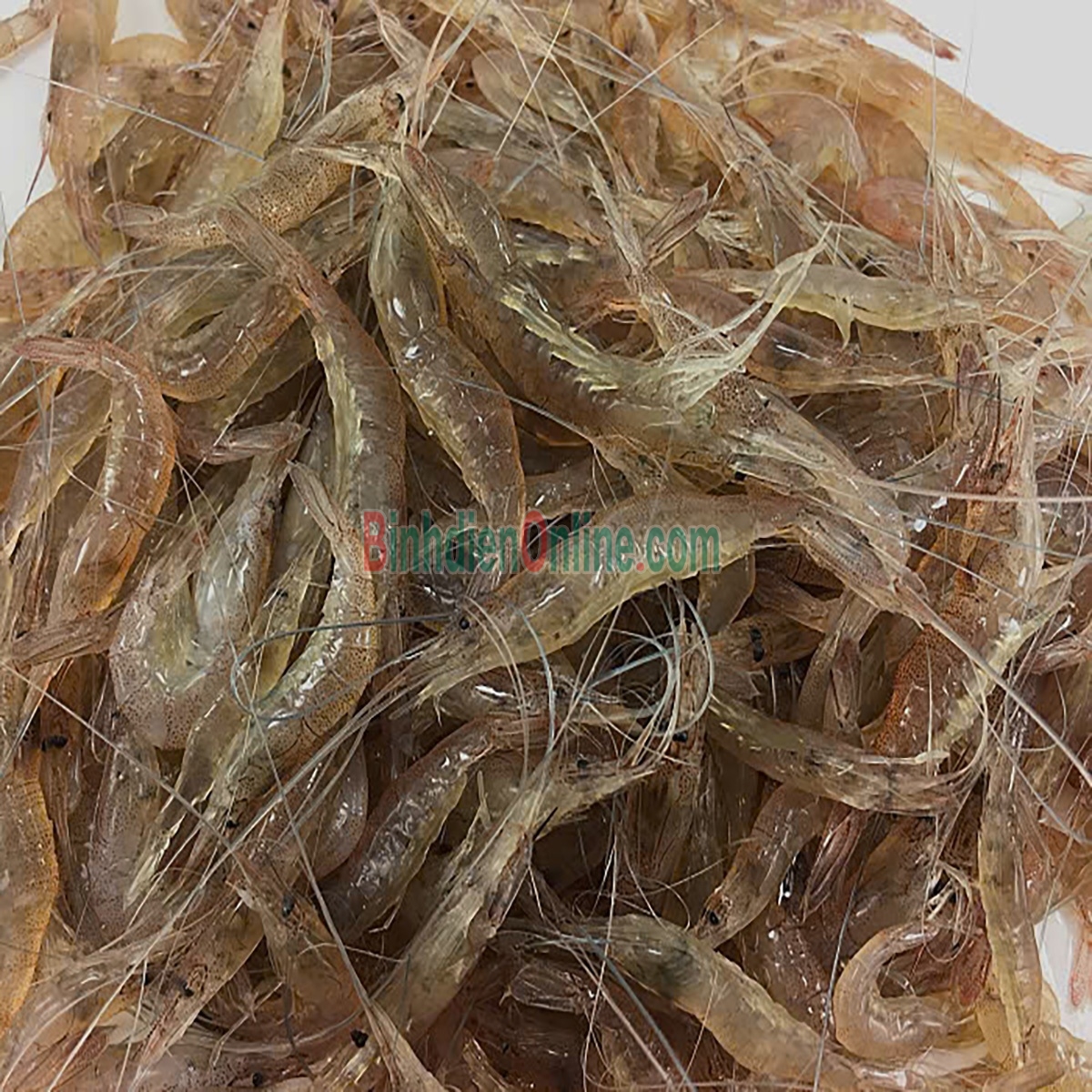 Tép đồng đảm bảo tươi ngon và an toàn Loại lớn Xuất xứ An Giang