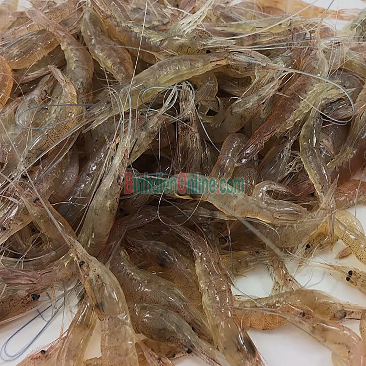 Tép đồng thiên nhiên mới đánh bắt Loại lớn Xuất xứ Cà Mau