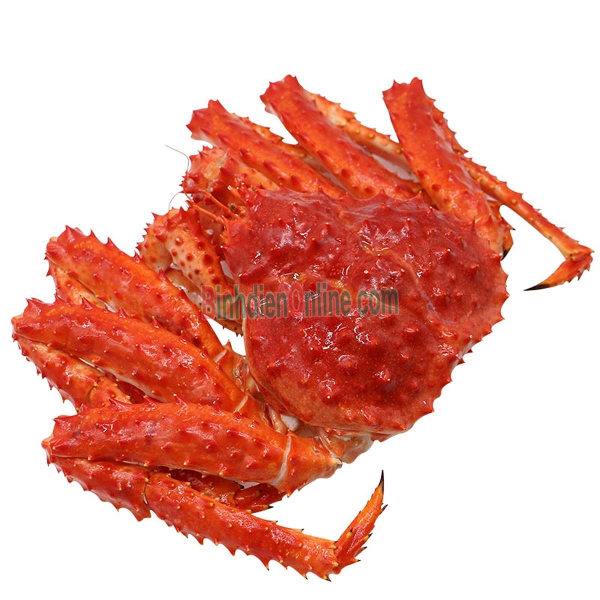 Cua hoàng đế sống  giá tốt 1,5-2 kg/con Xuất xứ Alaska