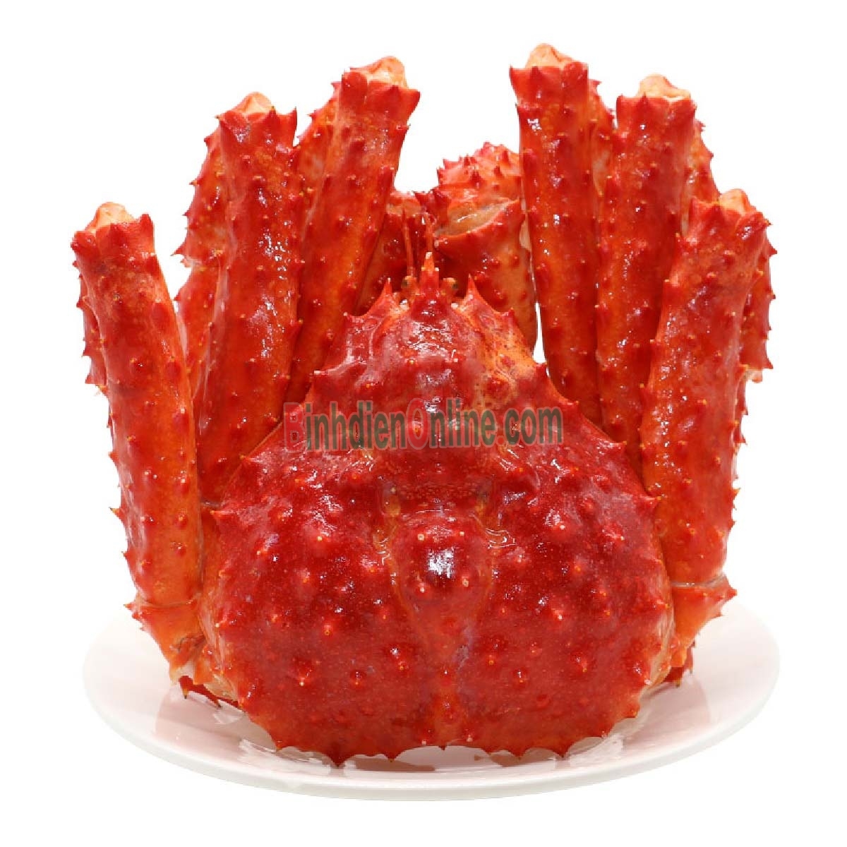 Cua hoàng đế  nguyên con đông lạnh 2-2,5 kg/con Xuất xứ Chile