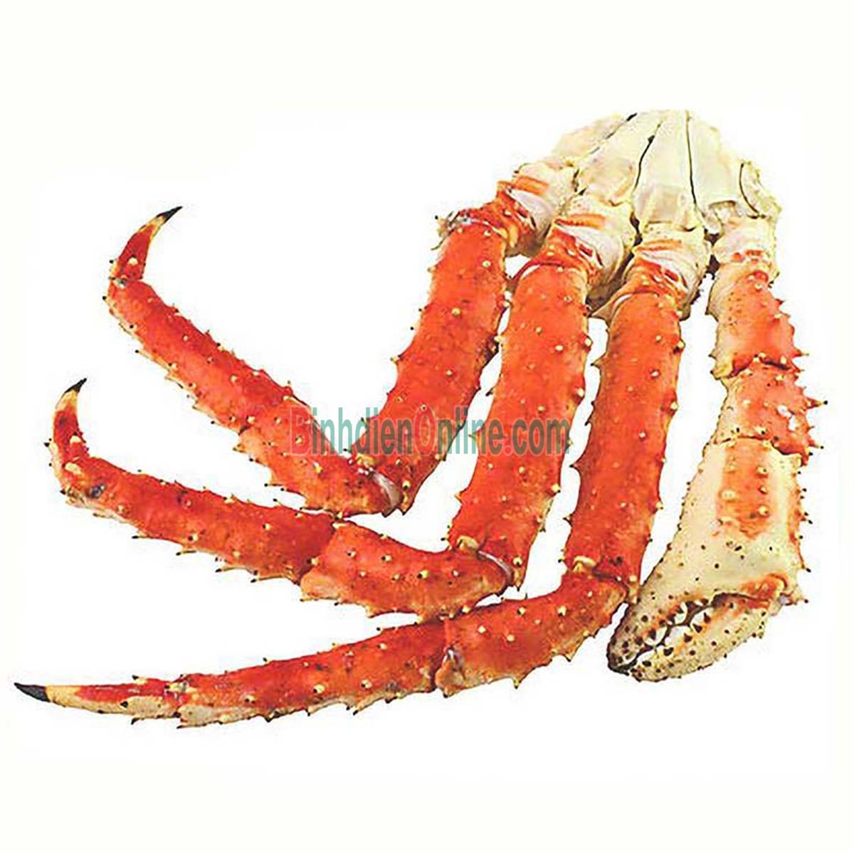 Chân cua hoàng đế đông lạnh 1-1,5 kg/cụm Xuất xứ Canada