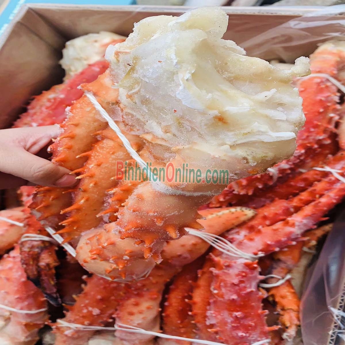 Chân cua hoàng đế đông lạnh loại 1 2-2,5 kg/bộ Xuất xứ Chile