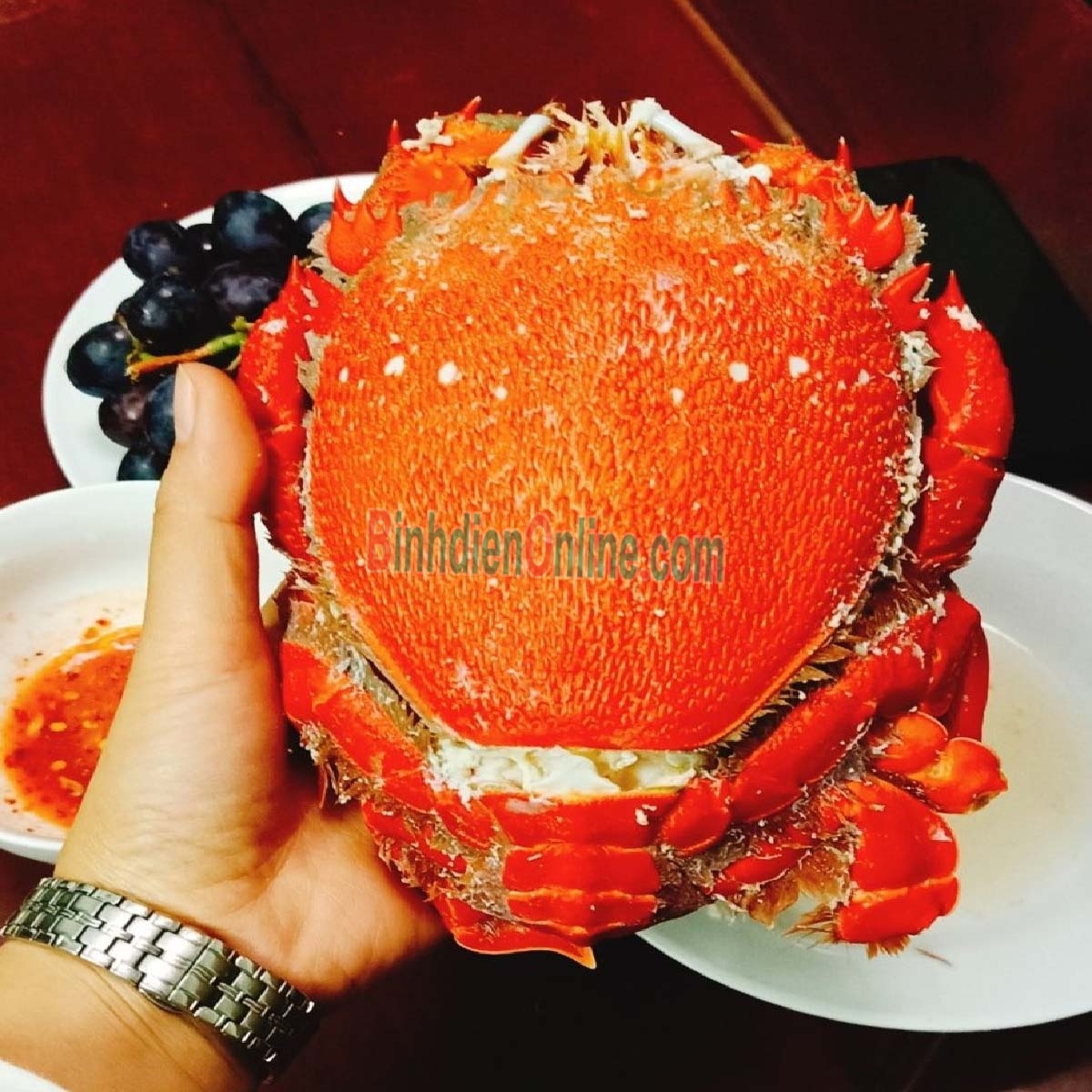 Cua huỳnh đế đông lạnh loại nhỏ cực ngon 400-500 gr/con Xuất xứ Khánh Hòa