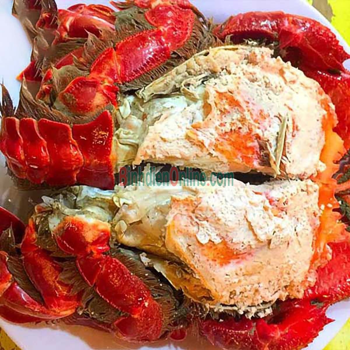 Cua huỳnh đế tươi sống thiên nhiên 300-400 gr/con Xuất xứ Bình Định