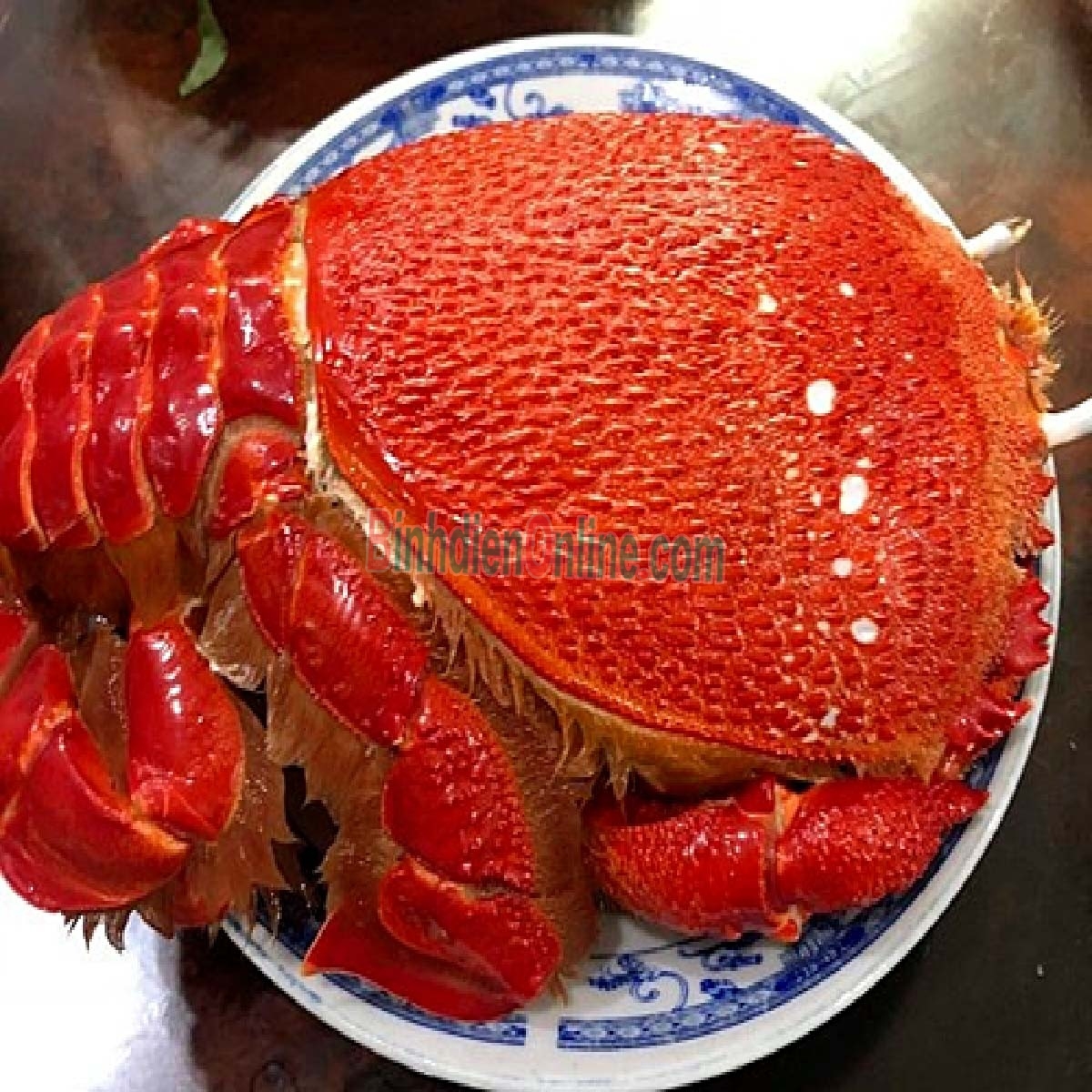Cua huỳnh đế đông lạnh siêu to 300-400 gr/con Xuất xứ Khánh Hòa