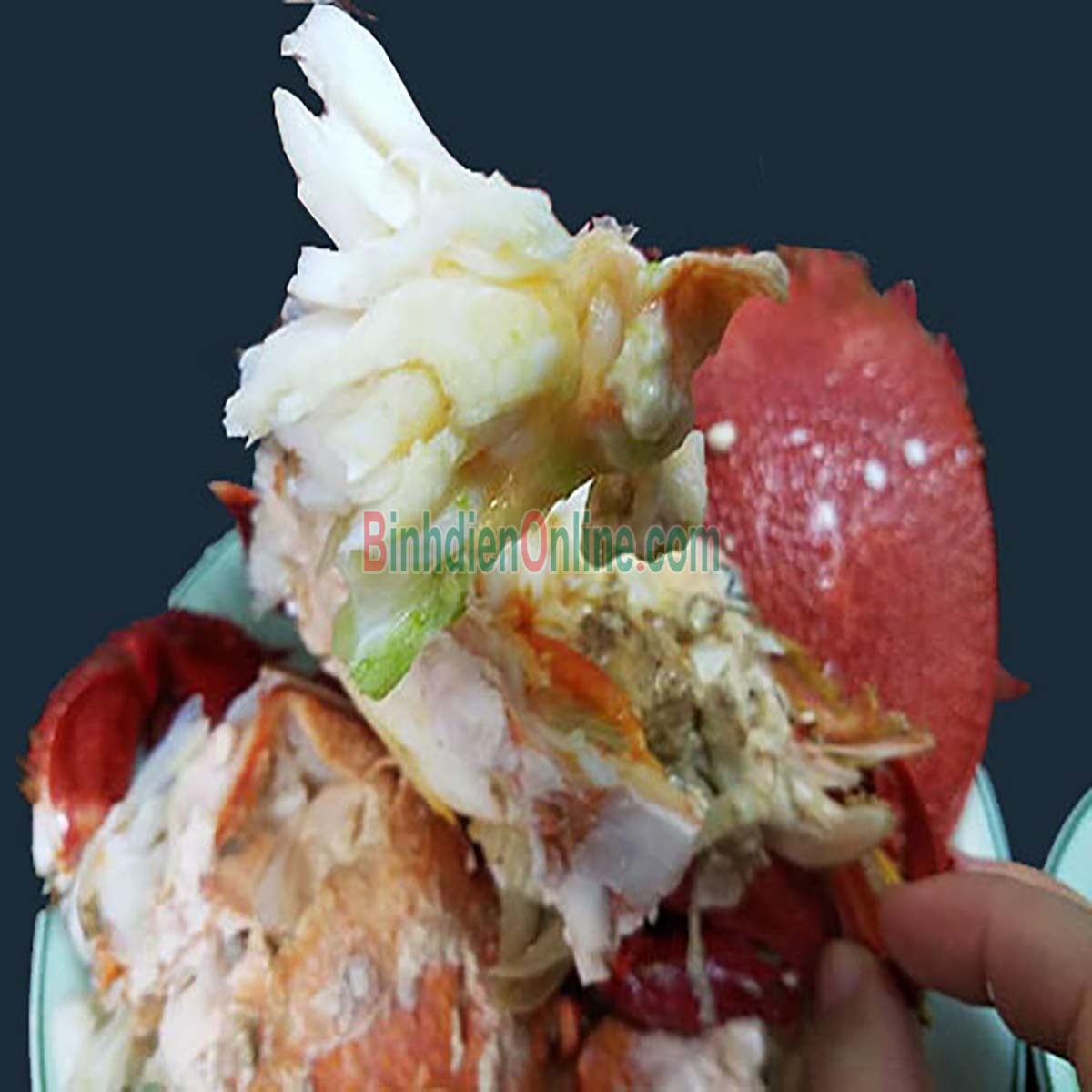 Cua huỳnh đế sống loại 1 500-700 gr/con Xuất xứ Phú Yên