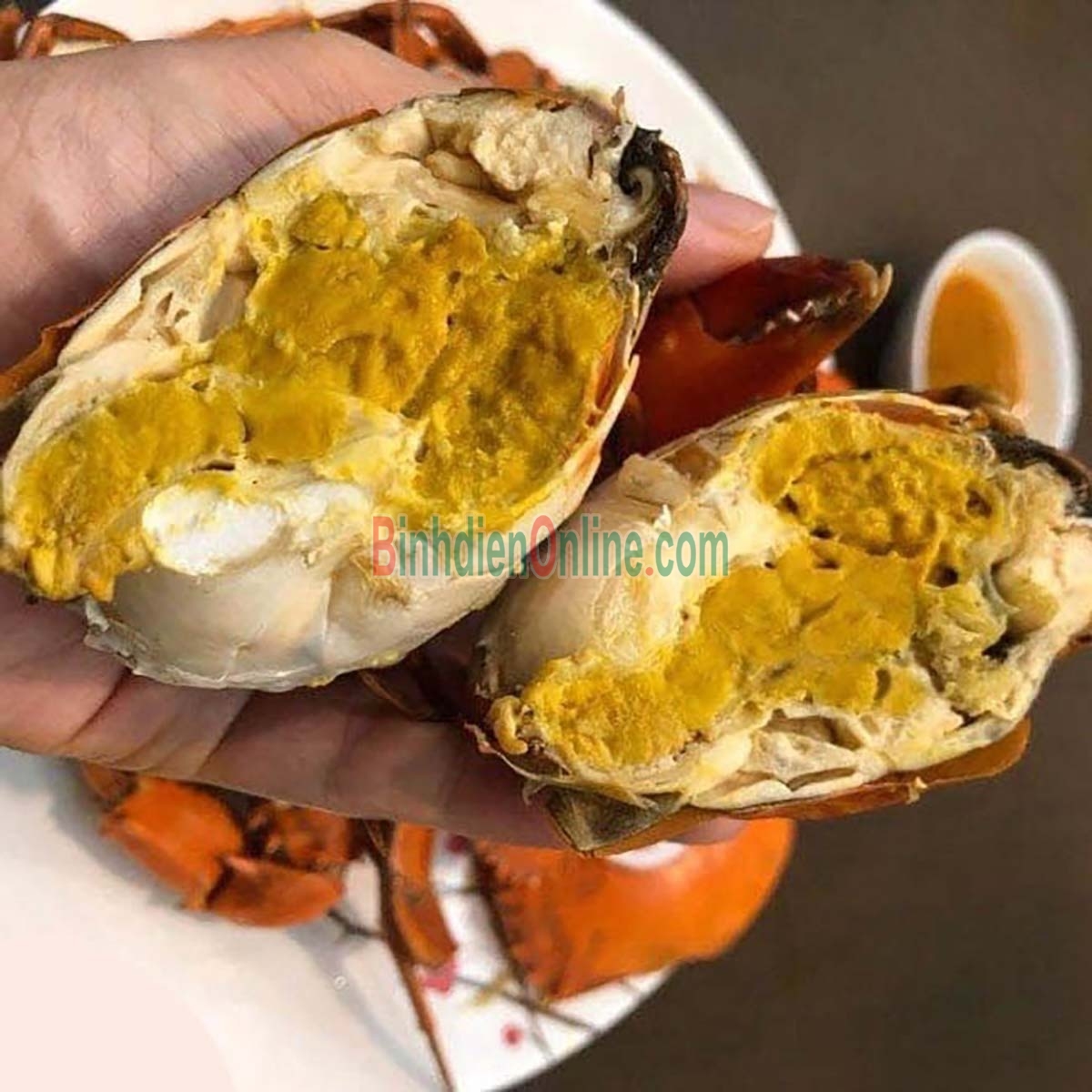 Cua cốm gạch  tuyển chọn loại VIP 200-300 gr/con Xuất xứ Trà Vinh