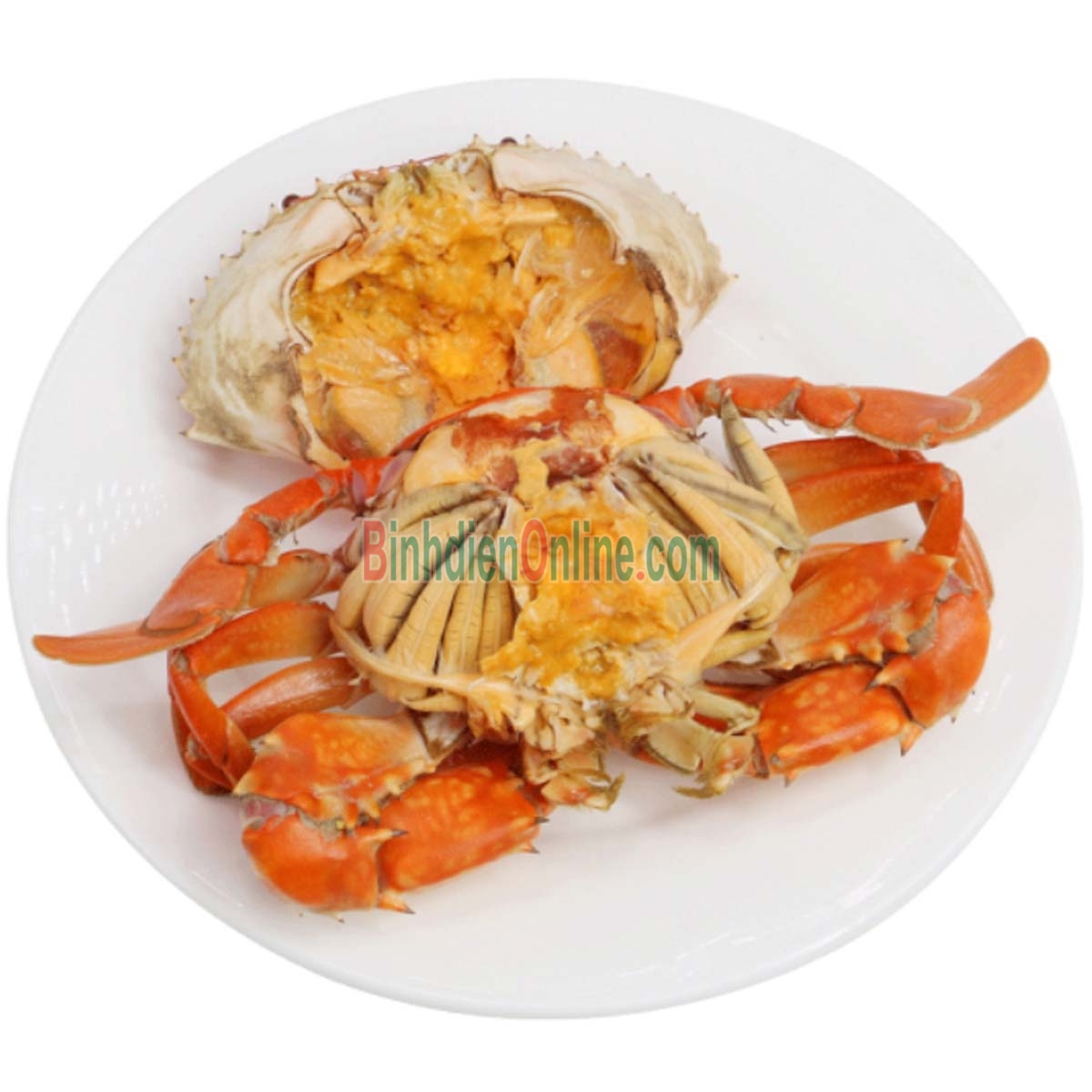 Cua gạch sống thiên nhiên giá tốt 560-650 gr/con Xuất xứ Bạc Liêu