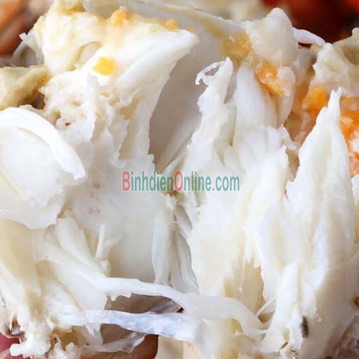 Cua gạch sống thiên nhiên loại VIP siêu to 200-290 gr/con Xuất xứ Kiên Giang