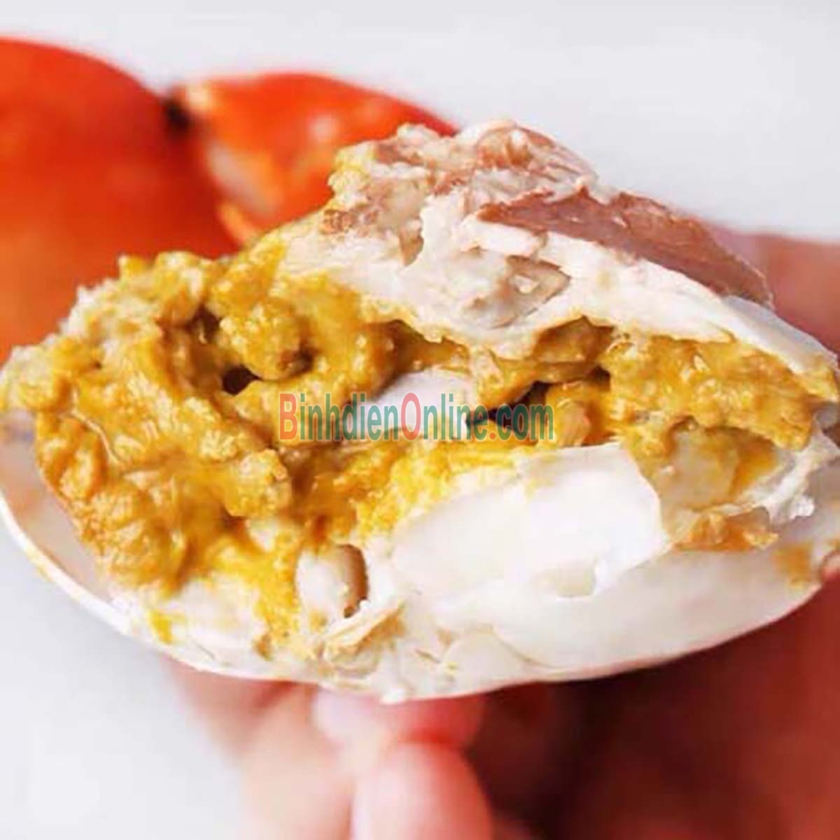 Cua gạch sống vừa đánh bắt siêu to 200-290 gr/con Xuất xứ Kiên Giang