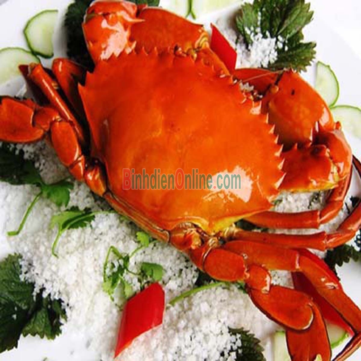 Cua gạch sống thiên nhiên giá tốt 300-450 gr/con Xuất xứ Cà Mau
