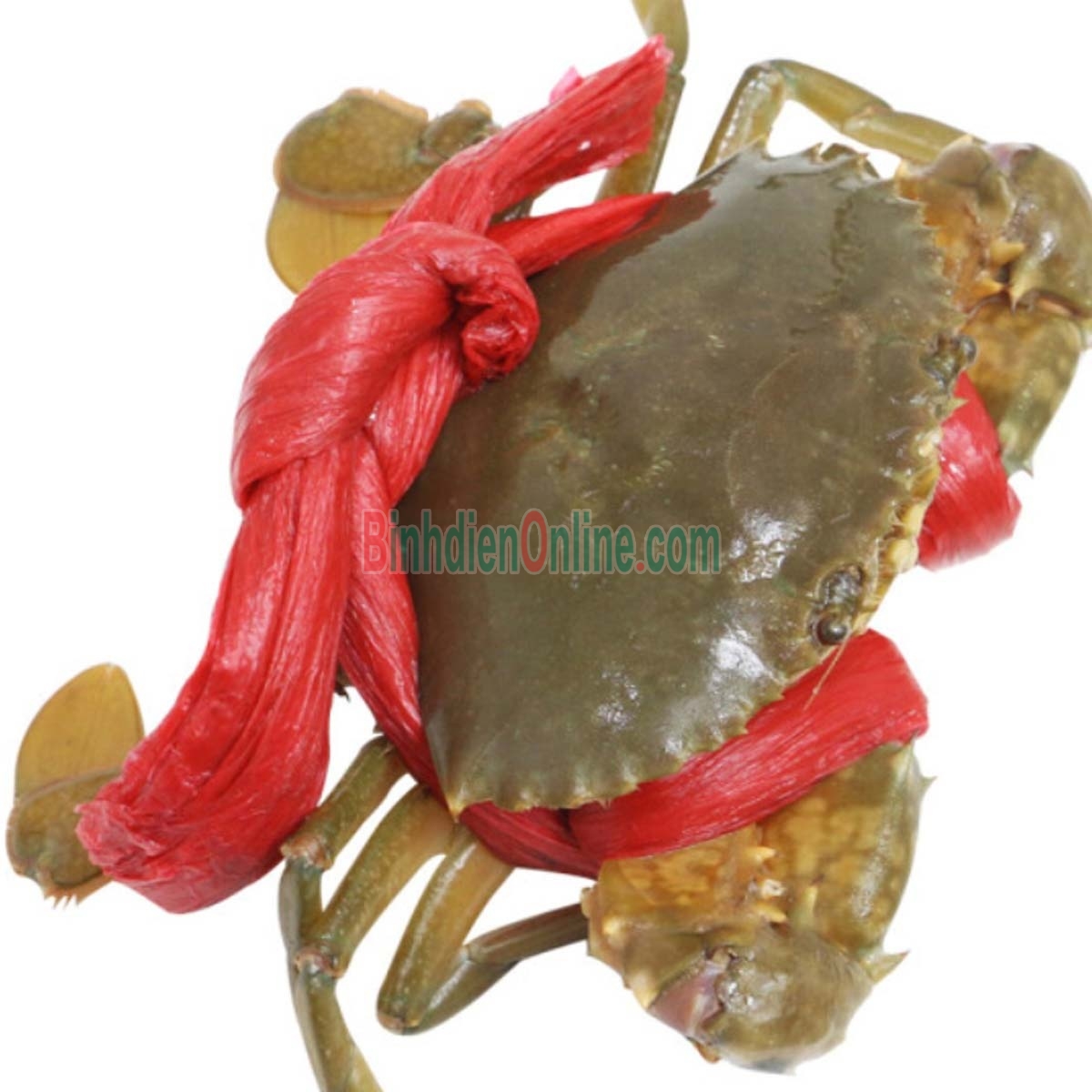Cua gạch sống thiên nhiên giá tốt 460-550 gr/con Xuất xứ Cà Mau