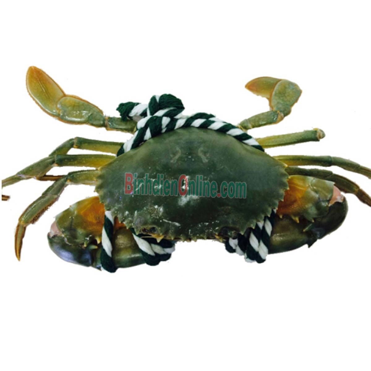 Cua gạch sống thiên nhiên giá tốt 200-290 gr/con Xuất xứ Bạc Liêu