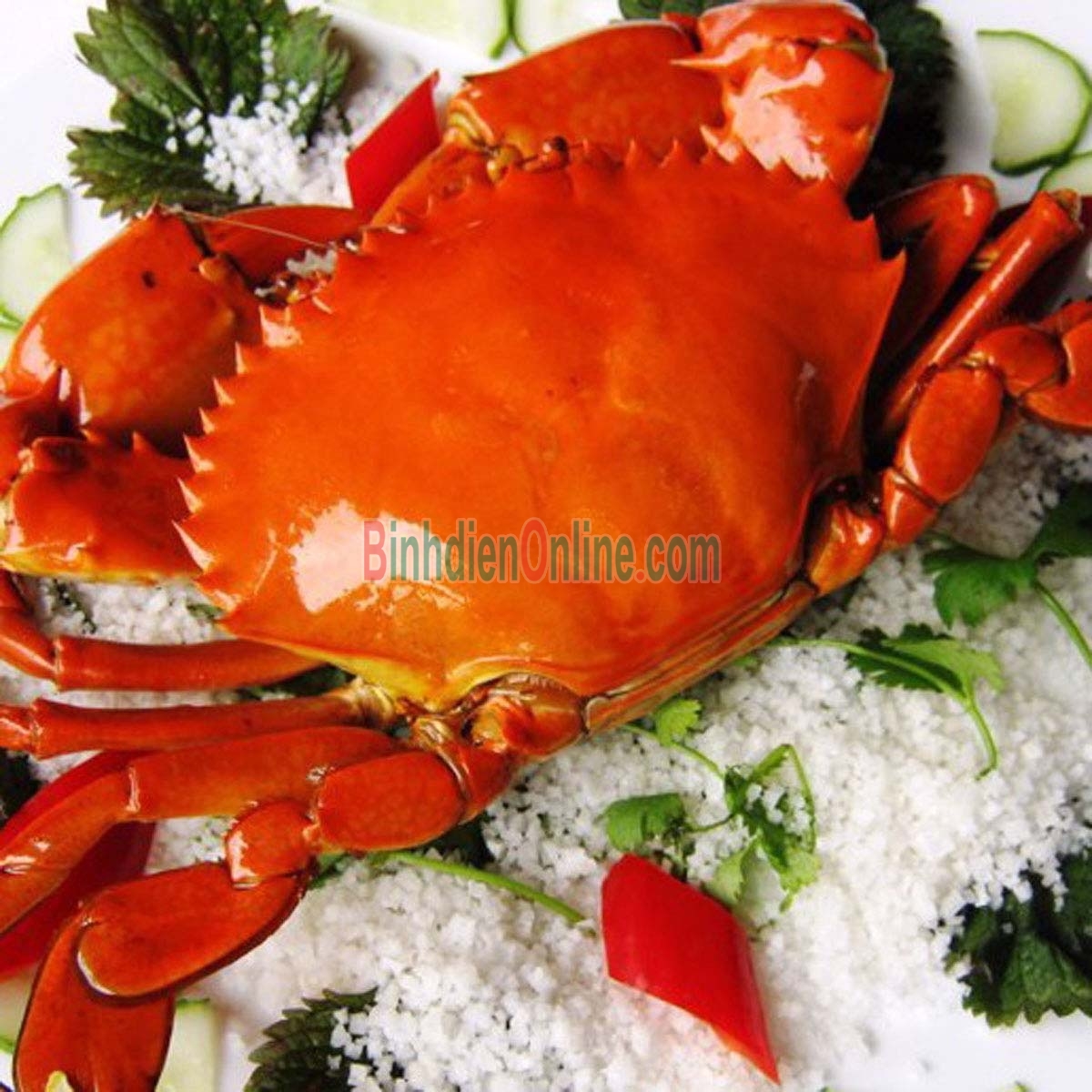 Cua gạch sống loại 1 560-650 gr/con Xuất xứ Bạc Liêu