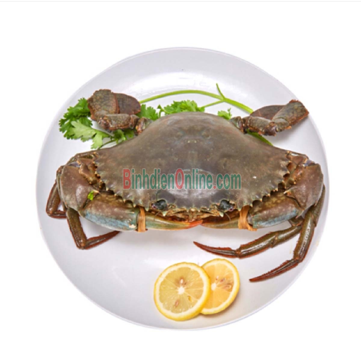 Cua gạch sống loại 1 300-450 gr/con Xuất xứ Bạc Liêu