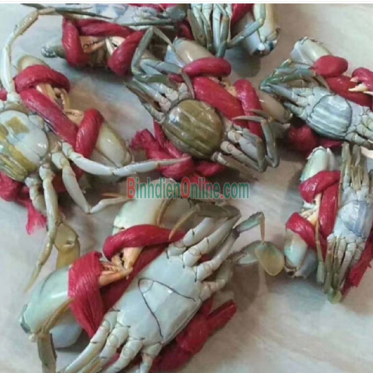 Cua gạch sống thiên nhiên giá tốt 200-290 gr/con Xuất xứ Sóc Trăng