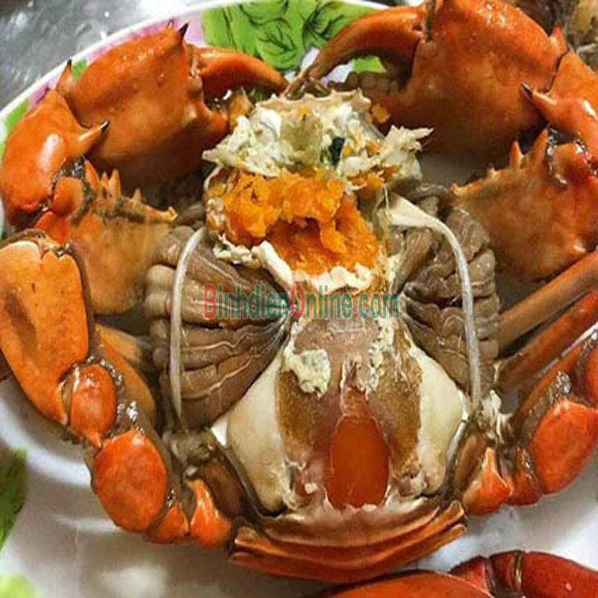 Cua gạch sống vừa đánh bắt 300-450 gr/con Xuất xứ Cà Mau