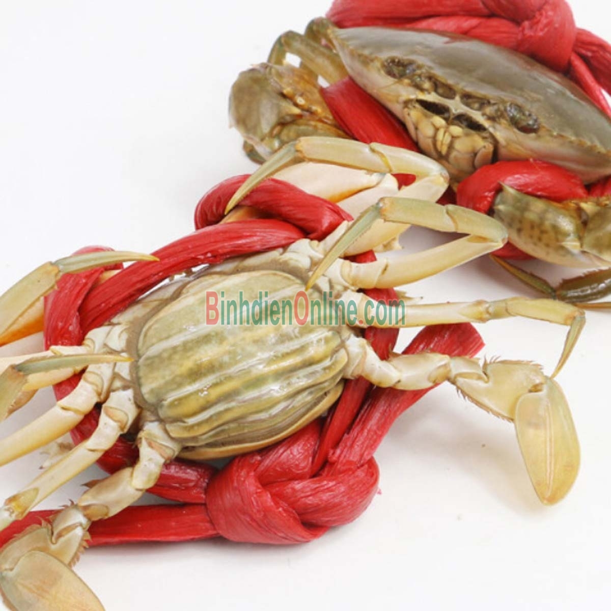 Cua gạch sống thiên nhiên giá tốt 200-290 gr/con Xuất xứ Cà Mau