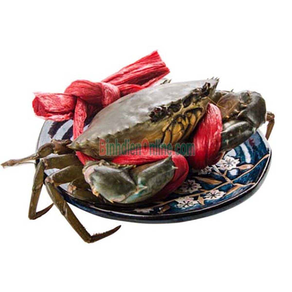 Cua thịt  sống loại VIP 560-650 gr/con Xuất xứ Bạc Liêu