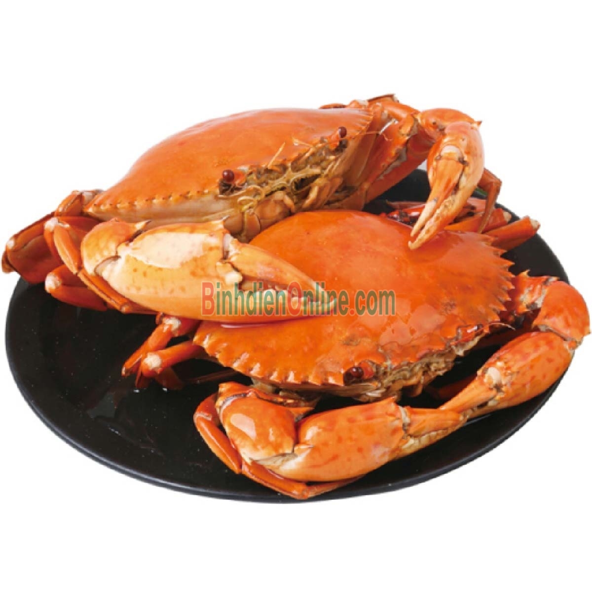Cua thịt  sống loại VIP 140-190 gr/con Xuất xứ Cà Mau