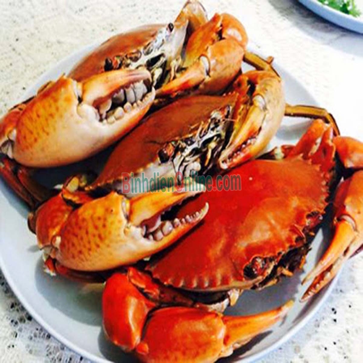 Cua thịt  sống thiên nhiên giá tốt 460-550 gr/con Xuất xứ Cà Mau