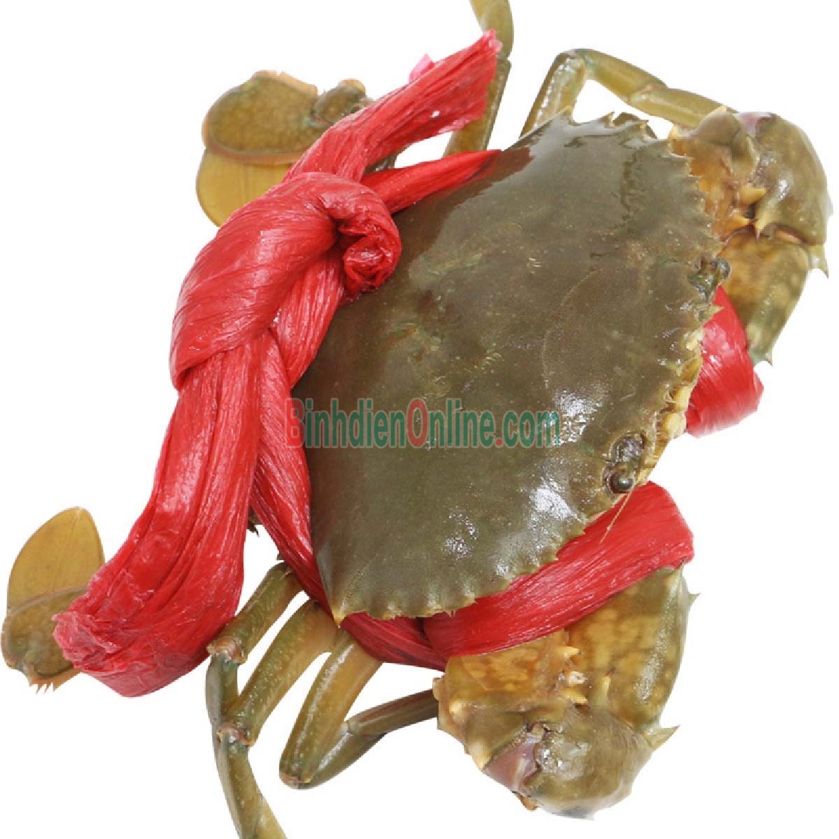 Cua thịt  sống thiên nhiên siêu to giá tốt 140-190 gr/con Xuất xứ Kiên Giang
