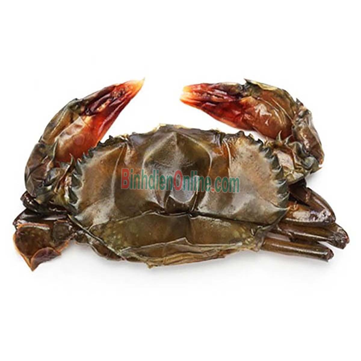 Cua lột tươi sống siêu ngon 7-8 con/kg Xuất xứ Sóc Trăng