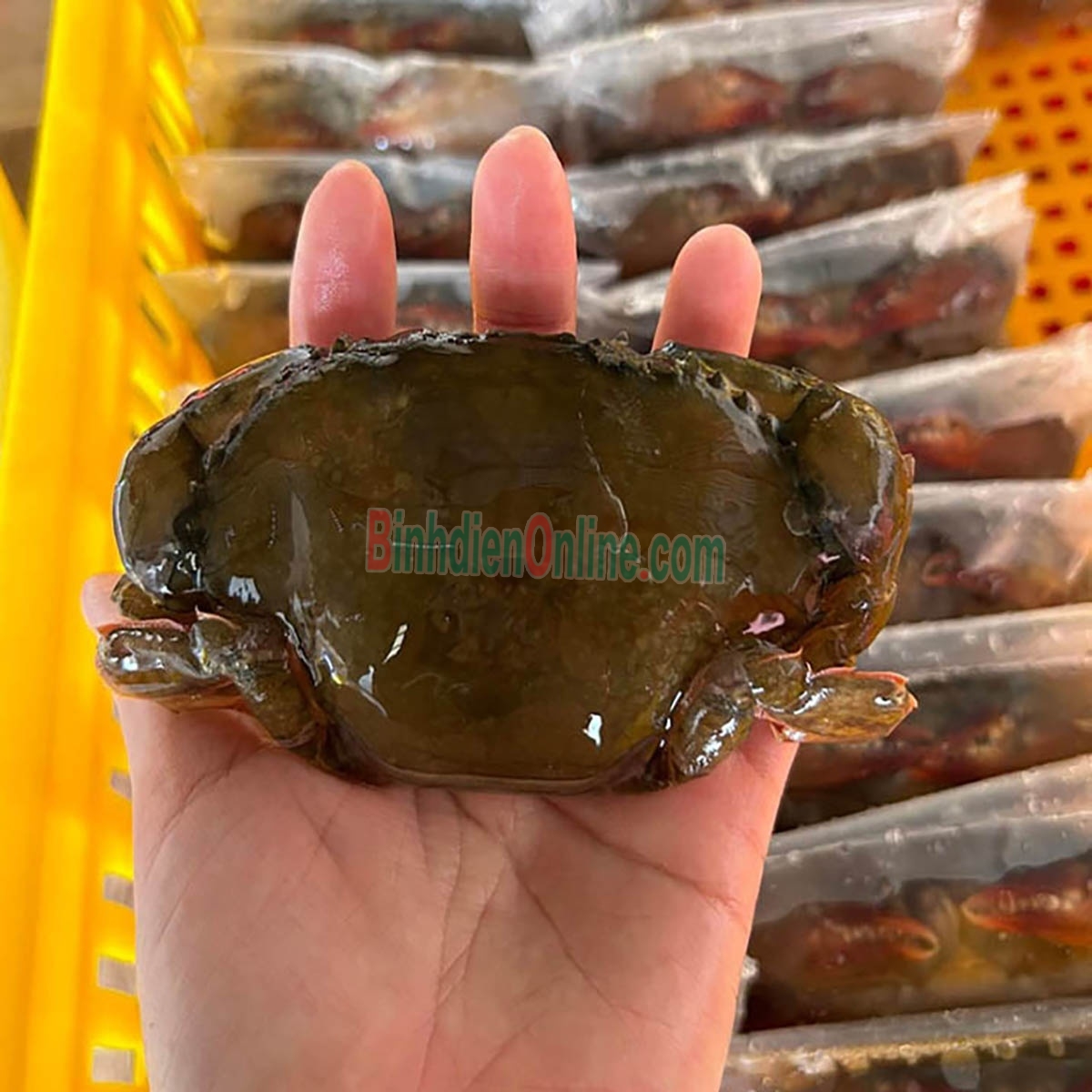 Cua lột đông lạnh giá tốt 12-15 con/kg Xuất xứ Cà Mau