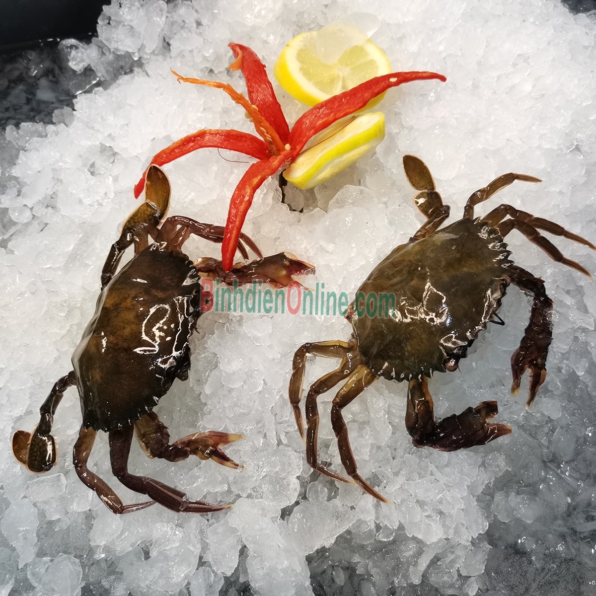 Cua lột đông lạnh loại 1 7-8 con/kg Xuất xứ Bạc Liêu