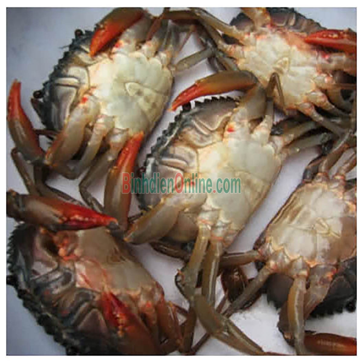 Cua lột tươi sống loại 1 7-8 con/kg Xuất xứ Kiên Giang
