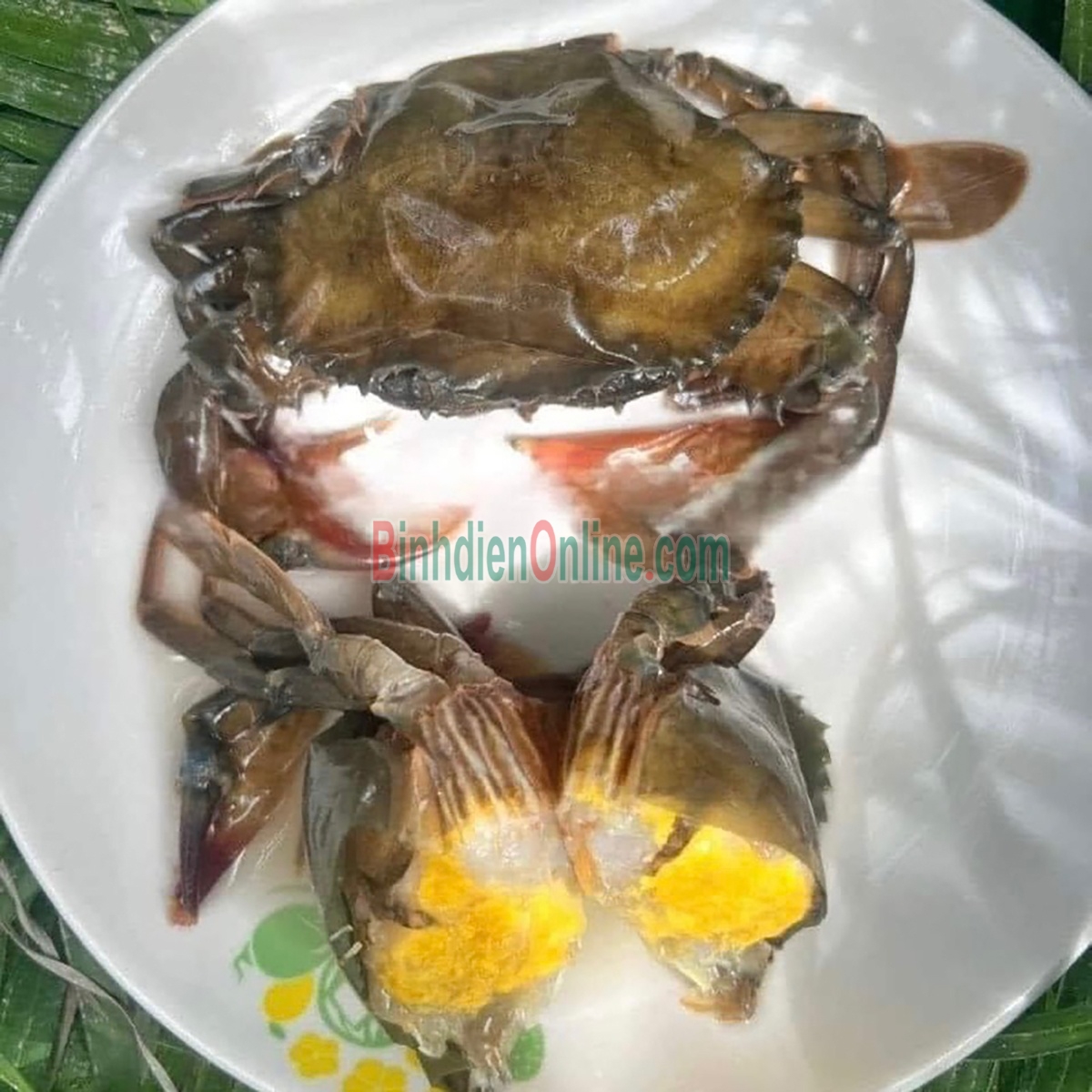 Cua lột tươi sống siêu ngon 8-10 con/kg Xuất xứ Sóc Trăng